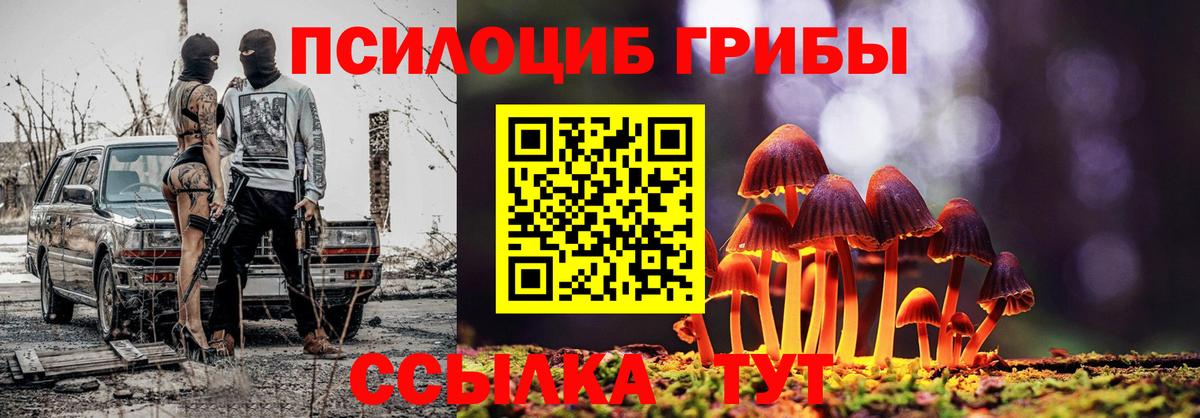 Галлюциногенные грибы Cubensis Сосновый Бор